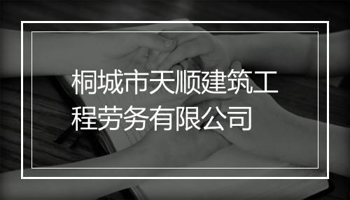 桐城市天顺建筑工程劳务有限公司