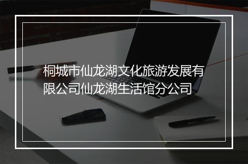 桐城市仙龙湖文化旅游发展有限公司仙龙湖生活馆分公司