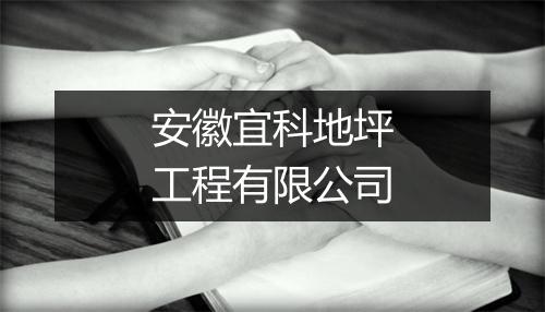 安徽宜科地坪工程有限公司