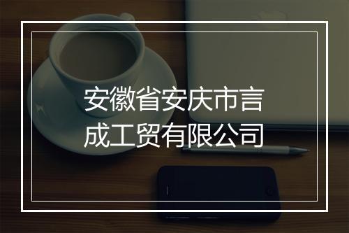 安徽省安庆市言成工贸有限公司