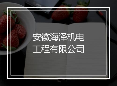 安徽海泽机电工程有限公司