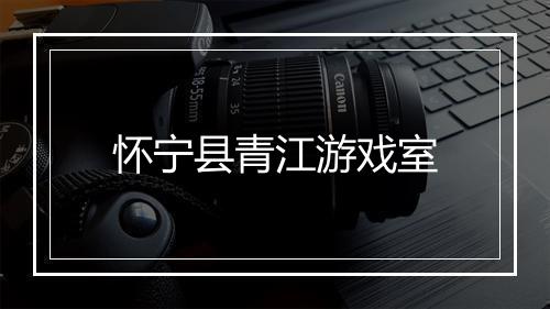 怀宁县青江游戏室