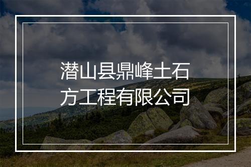 潜山县鼎峰土石方工程有限公司
