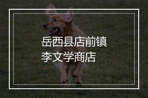 岳西县店前镇李文学商店
