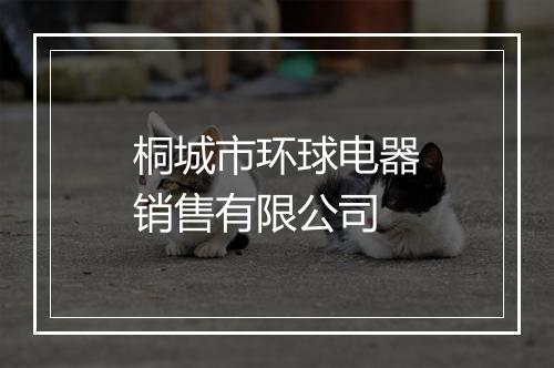 桐城市环球电器销售有限公司
