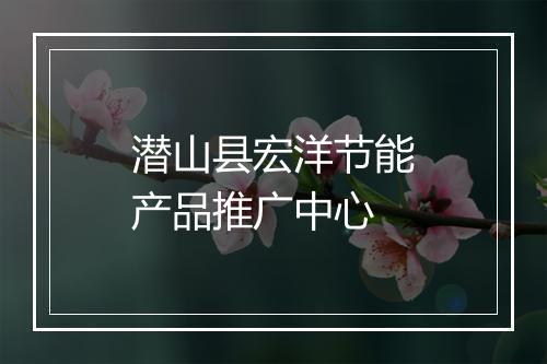 潜山县宏洋节能产品推广中心