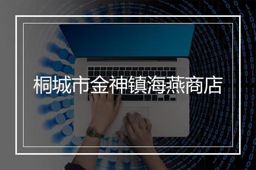桐城市金神镇海燕商店