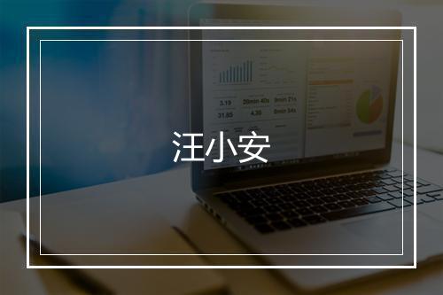 汪小安