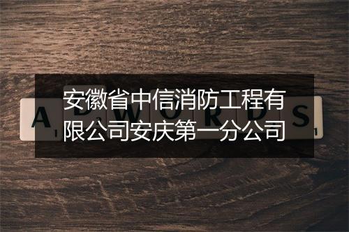 安徽省中信消防工程有限公司安庆第一分公司