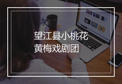 望江县小桃花黄梅戏剧团