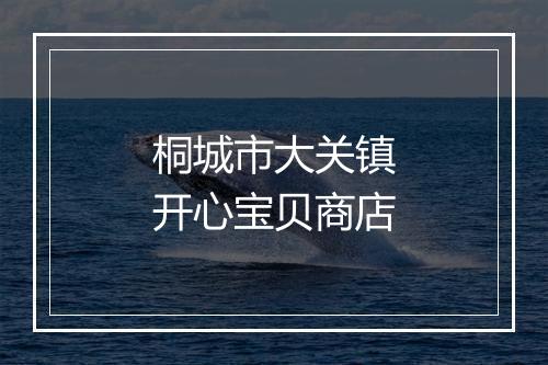 桐城市大关镇开心宝贝商店