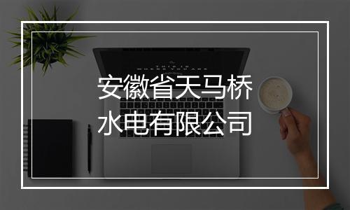 安徽省天马桥水电有限公司