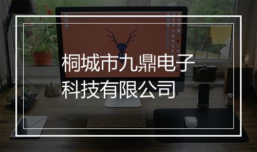 桐城市九鼎电子科技有限公司