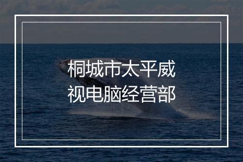 桐城市太平威视电脑经营部