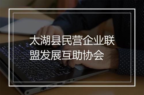 太湖县民营企业联盟发展互助协会