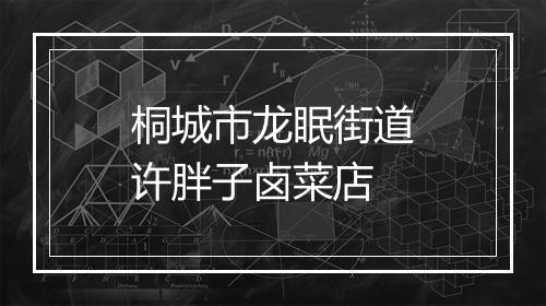 桐城市龙眠街道许胖子卤菜店