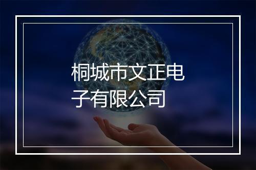 桐城市文正电子有限公司