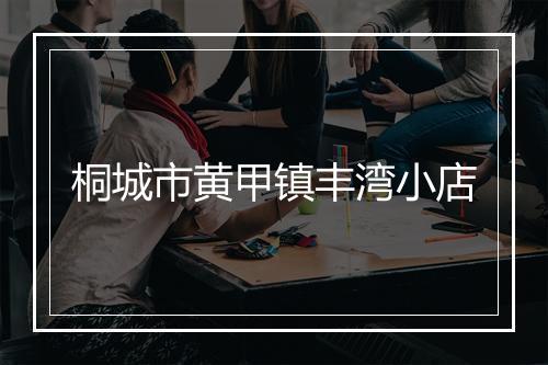 桐城市黄甲镇丰湾小店