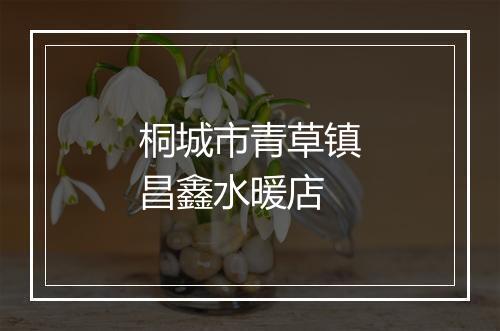 桐城市青草镇昌鑫水暖店