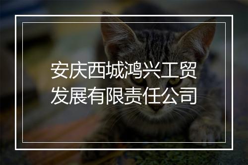 安庆西城鸿兴工贸发展有限责任公司