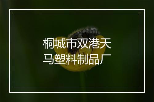 桐城市双港天马塑料制品厂