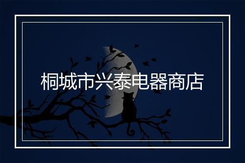 桐城市兴泰电器商店