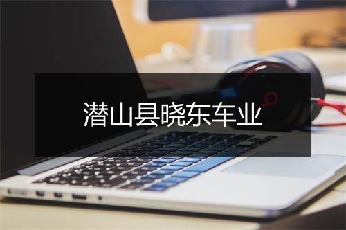潜山县晓东车业