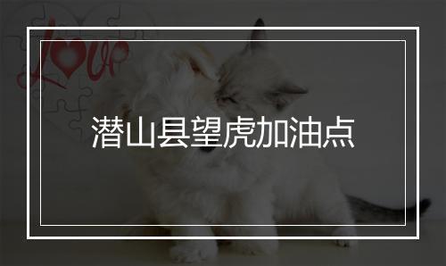 潜山县望虎加油点