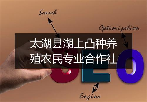 太湖县湖上凸种养殖农民专业合作社