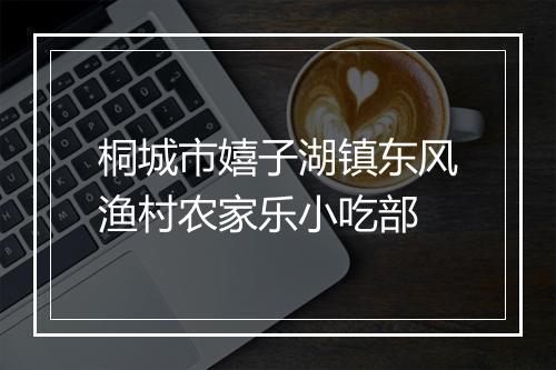 桐城市嬉子湖镇东风渔村农家乐小吃部
