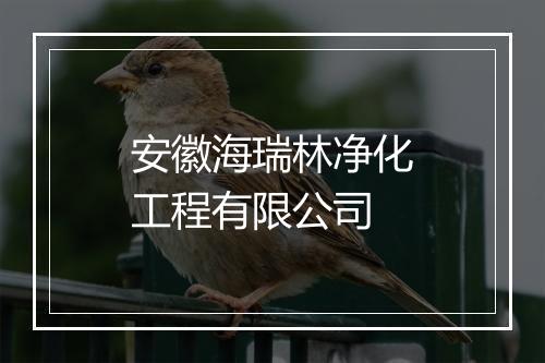 安徽海瑞林净化工程有限公司