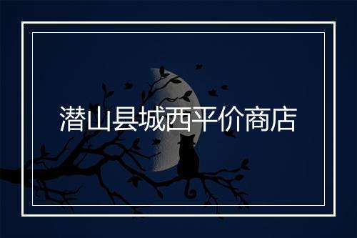 潜山县城西平价商店