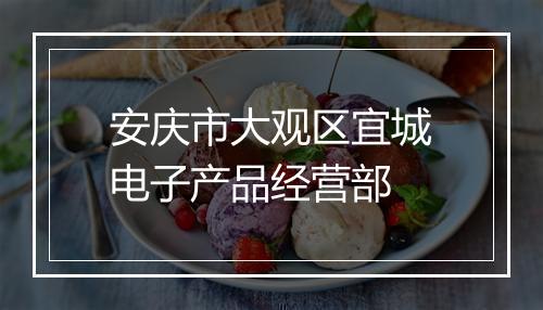 安庆市大观区宜城电子产品经营部