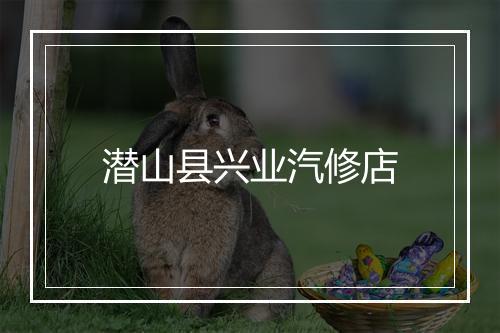 潜山县兴业汽修店