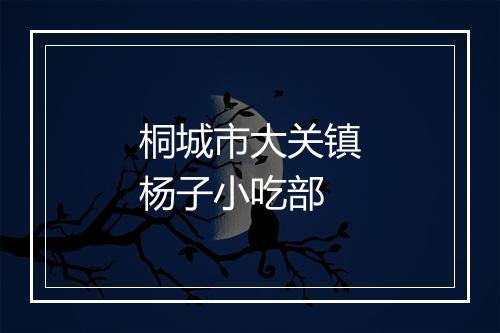 桐城市大关镇杨子小吃部