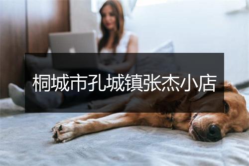 桐城市孔城镇张杰小店