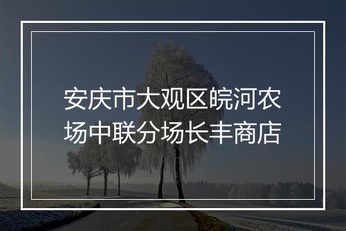 安庆市大观区皖河农场中联分场长丰商店