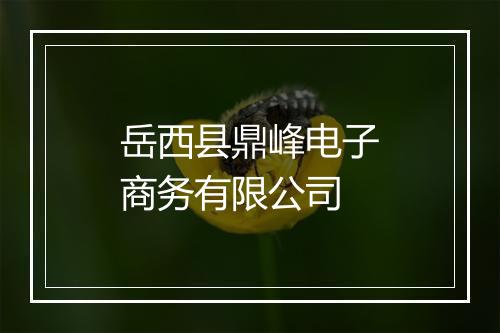 岳西县鼎峰电子商务有限公司