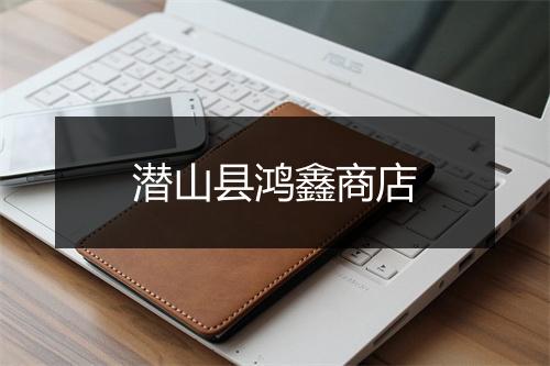潜山县鸿鑫商店