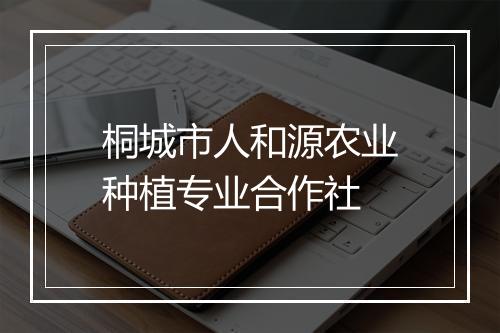 桐城市人和源农业种植专业合作社