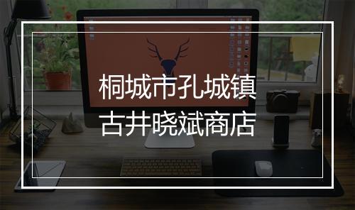 桐城市孔城镇古井晓斌商店