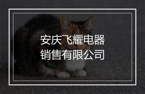 安庆飞耀电器销售有限公司