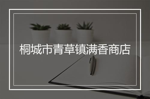 桐城市青草镇满香商店