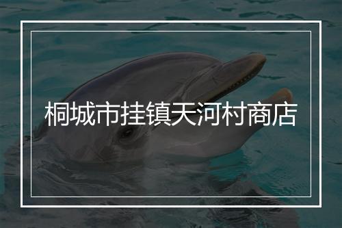 桐城市挂镇天河村商店