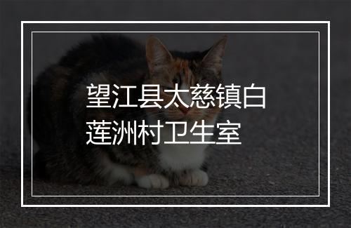 望江县太慈镇白莲洲村卫生室