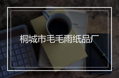 桐城市毛毛雨纸品厂