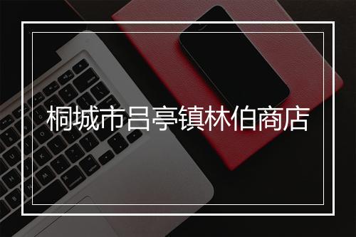 桐城市吕亭镇林伯商店