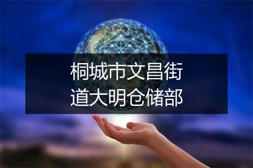 桐城市文昌街道大明仓储部