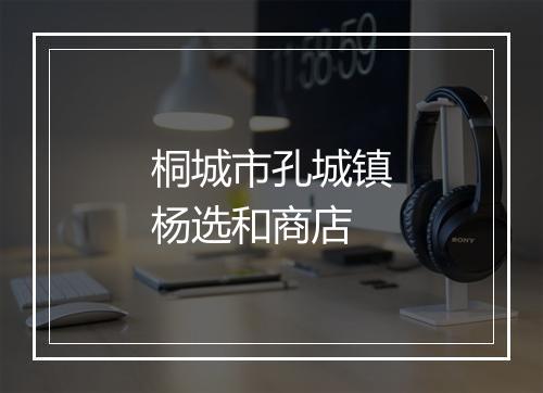 桐城市孔城镇杨选和商店