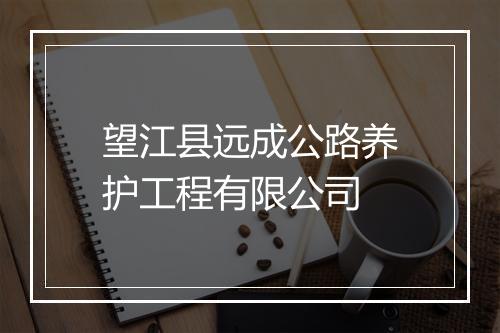 望江县远成公路养护工程有限公司